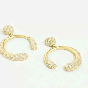 J Crew Crystal Circle Earrings